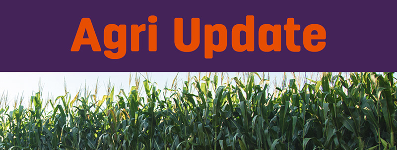 Agritask Expande a Sua Plataforma Digital de Seguros Agrícolas na África Austral Através de Parceria com a Hollard Moçambique