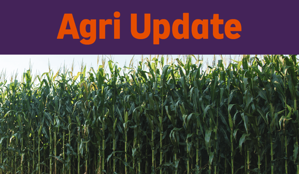 A banner of a farm plant nursery with text reading: 