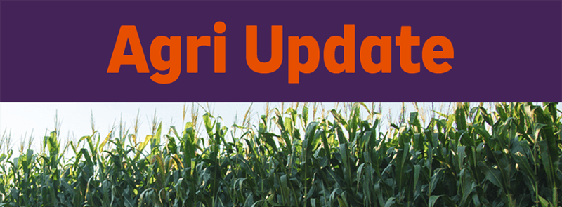 Agritask Expande a Sua Plataforma Digital de Seguros Agrícolas na África Austral Através de Parceria com a Hollard Moçambique