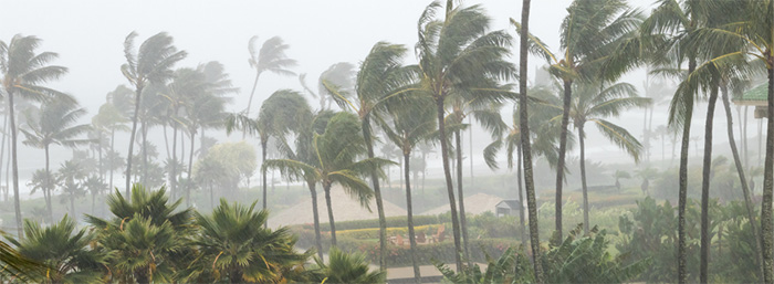 Photograph of a cyclone in Mozambique representing a cyclone warning