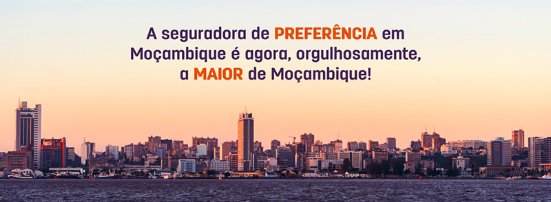 A banner of the city with text reading: 